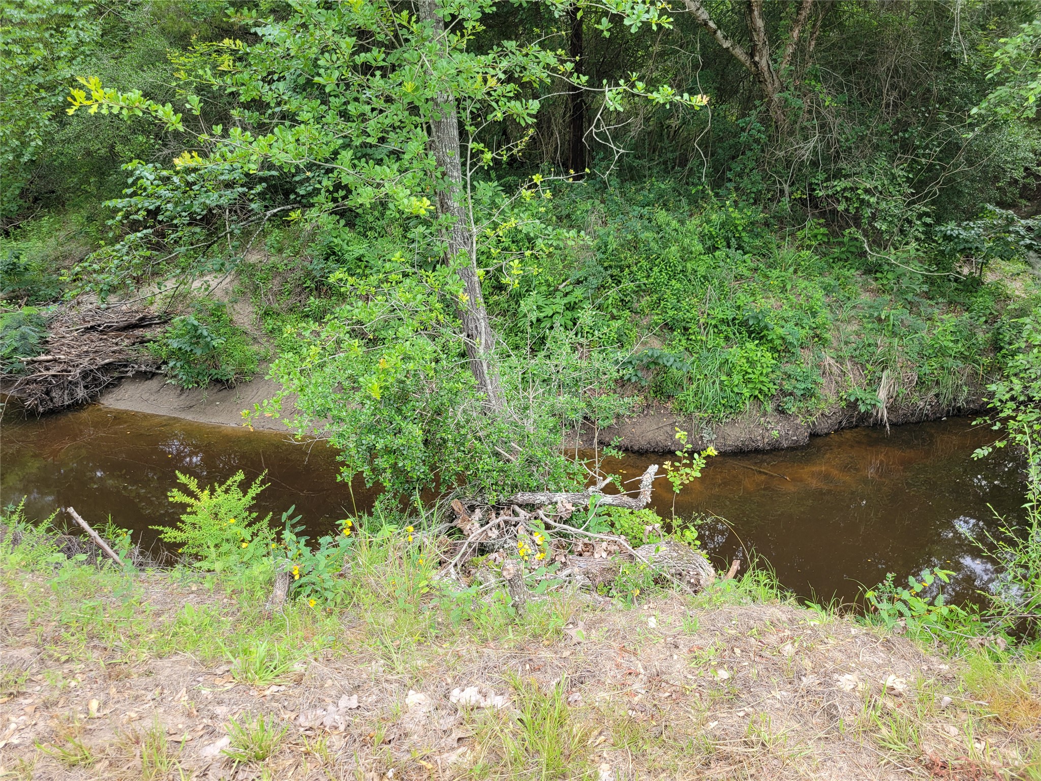 1785 Misty Hollow Lane Property Photo 31