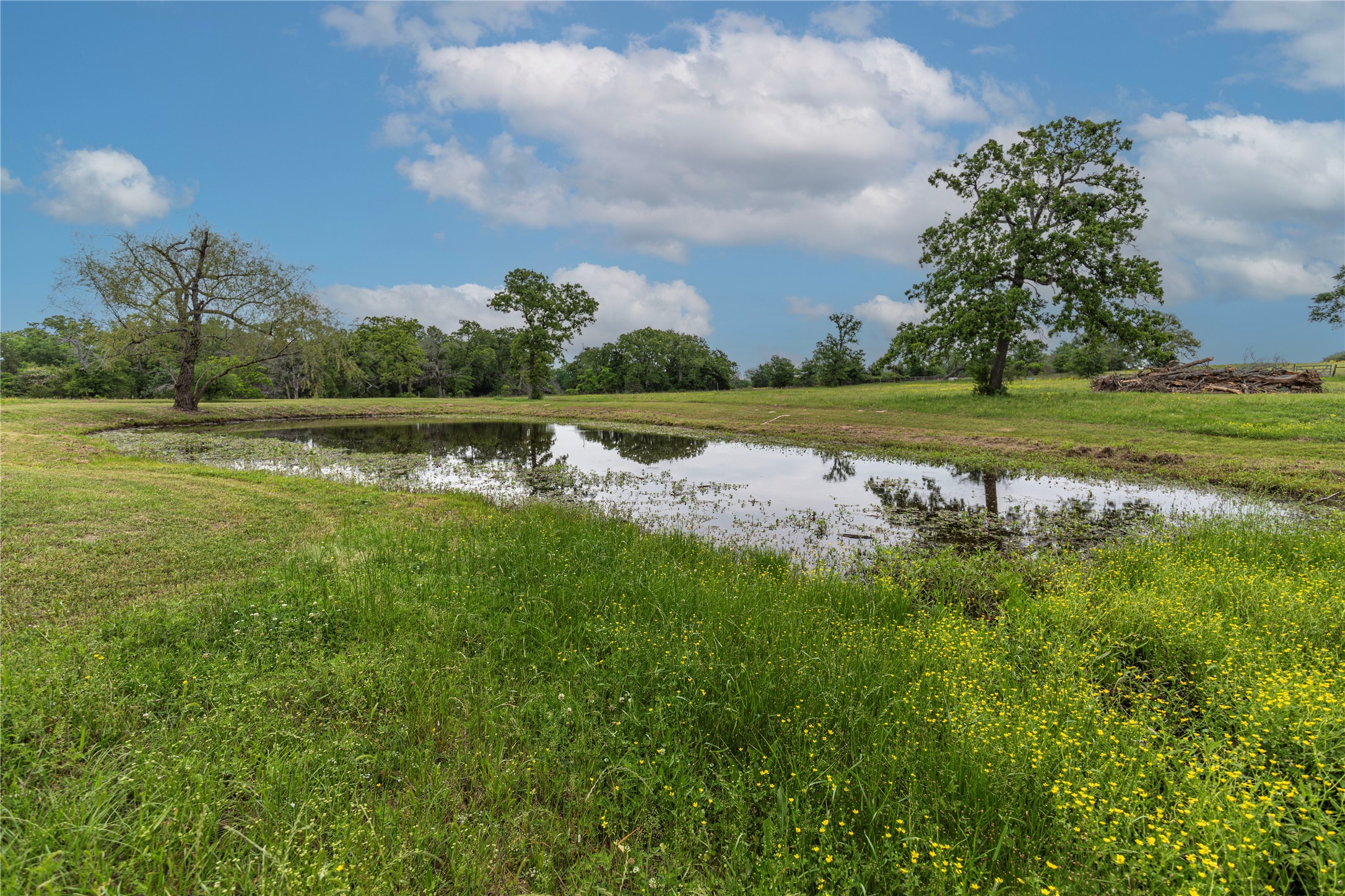 7680 Highway 36 N Property Photo 21