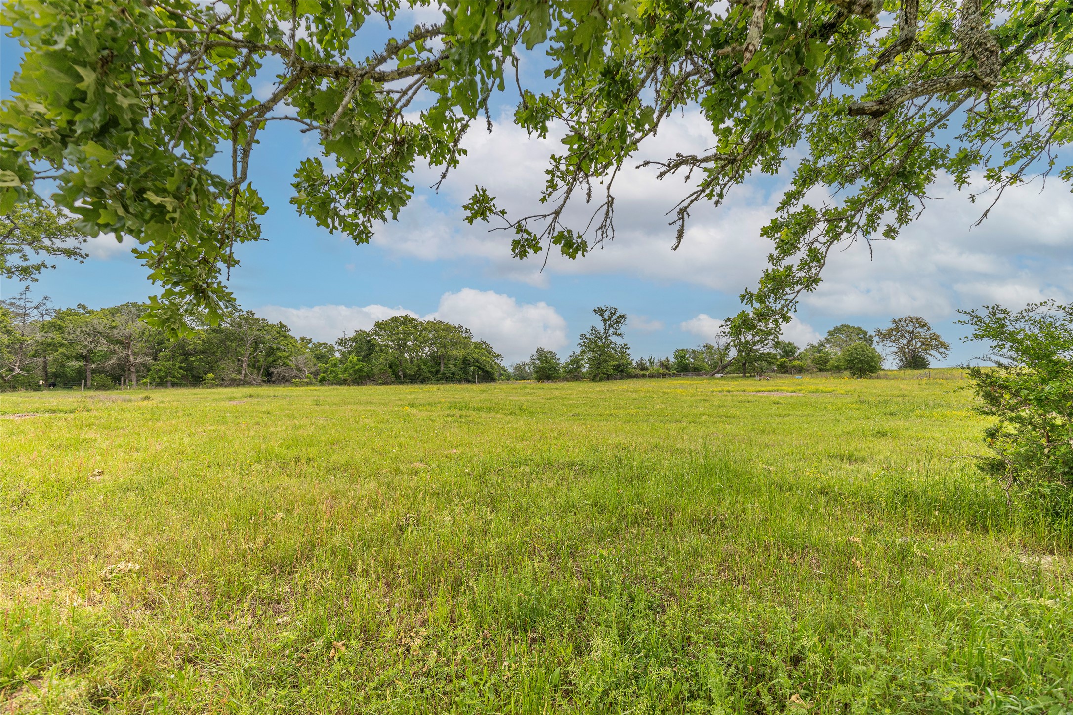 7680 Highway 36 N Property Photo 23