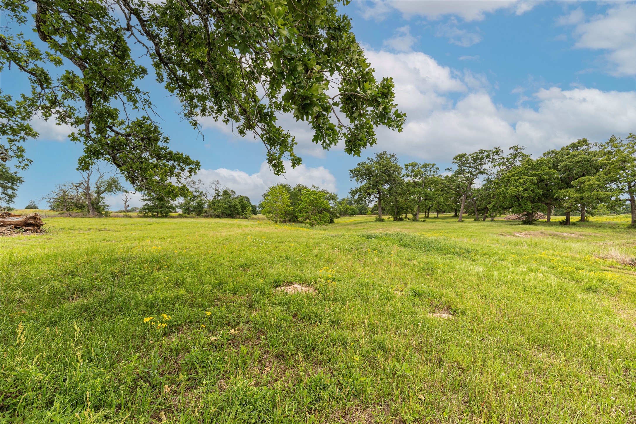 7680 Highway 36 N Property Photo 24