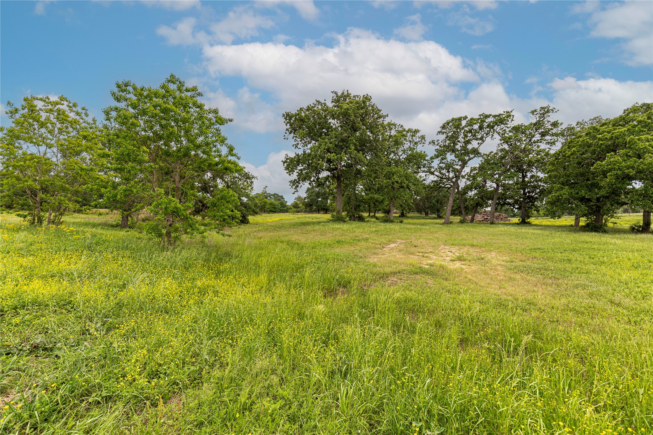 7680 Highway 36 N Property Photo 25
