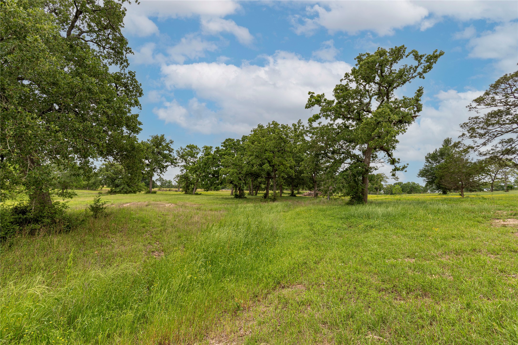 7680 Highway 36 N Property Photo 26