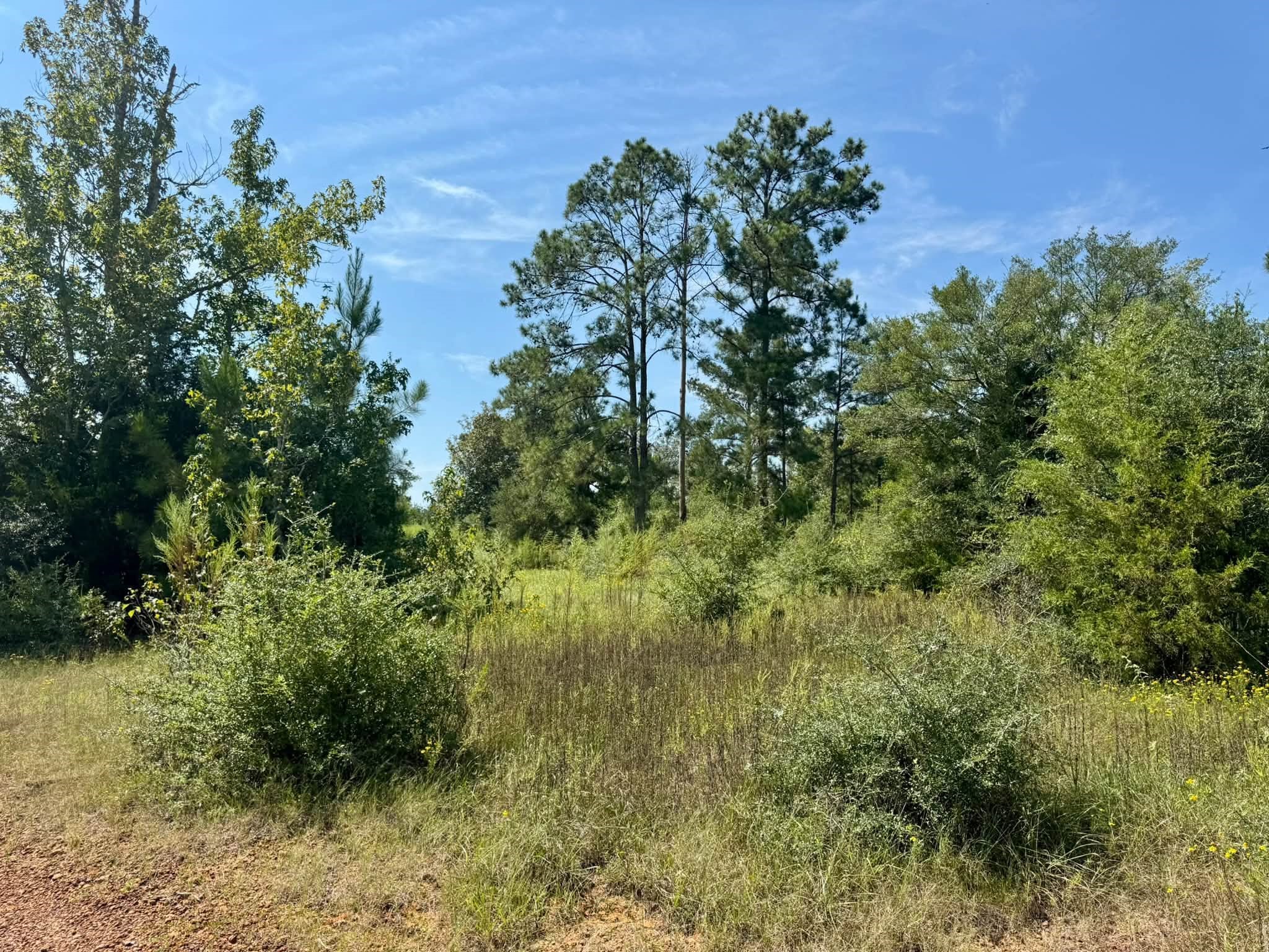 Tract 4 Private Road 8385 Street Property Photo 5