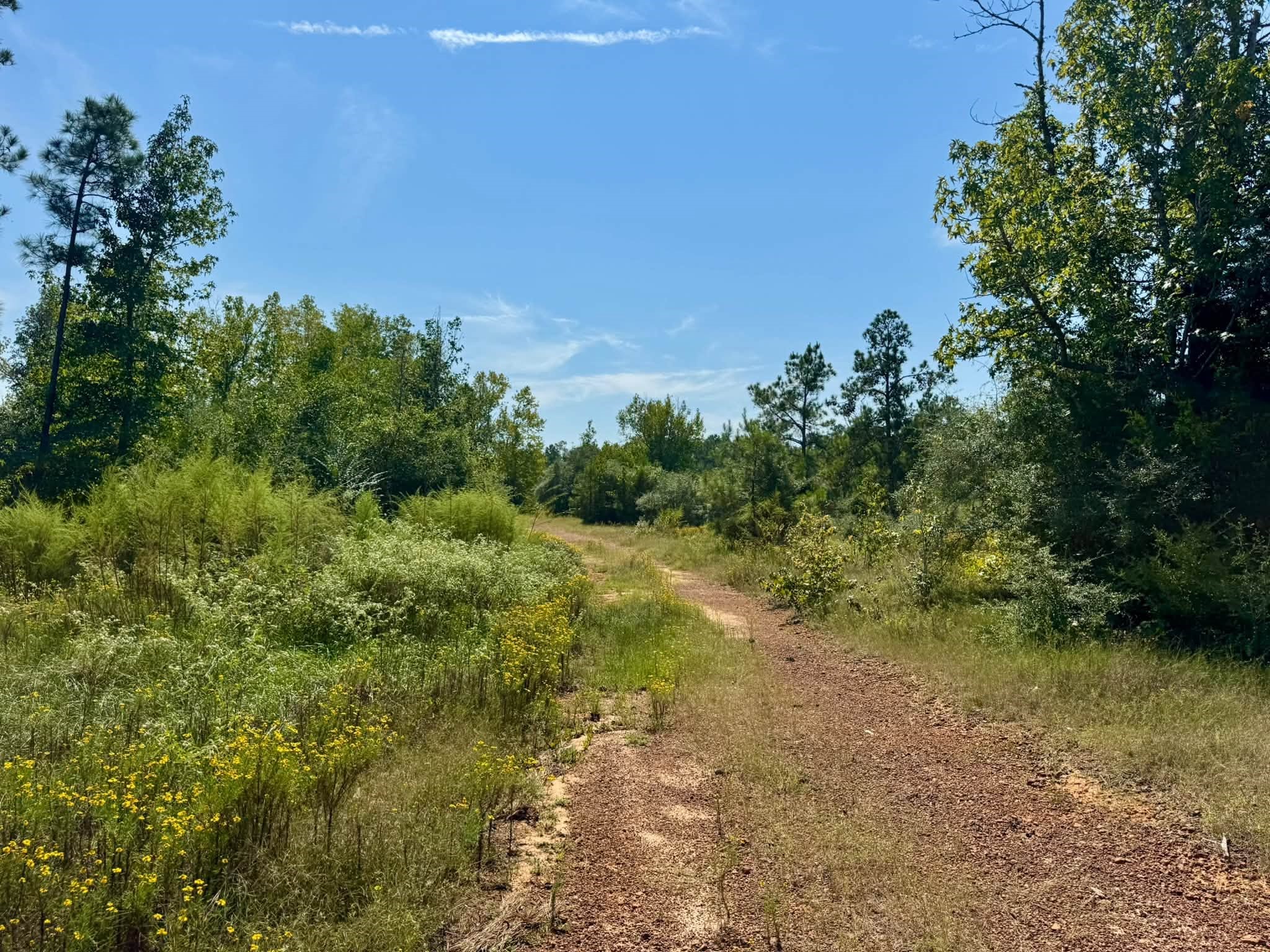 Tract 4 Private Road 8385 Street Property Photo 8