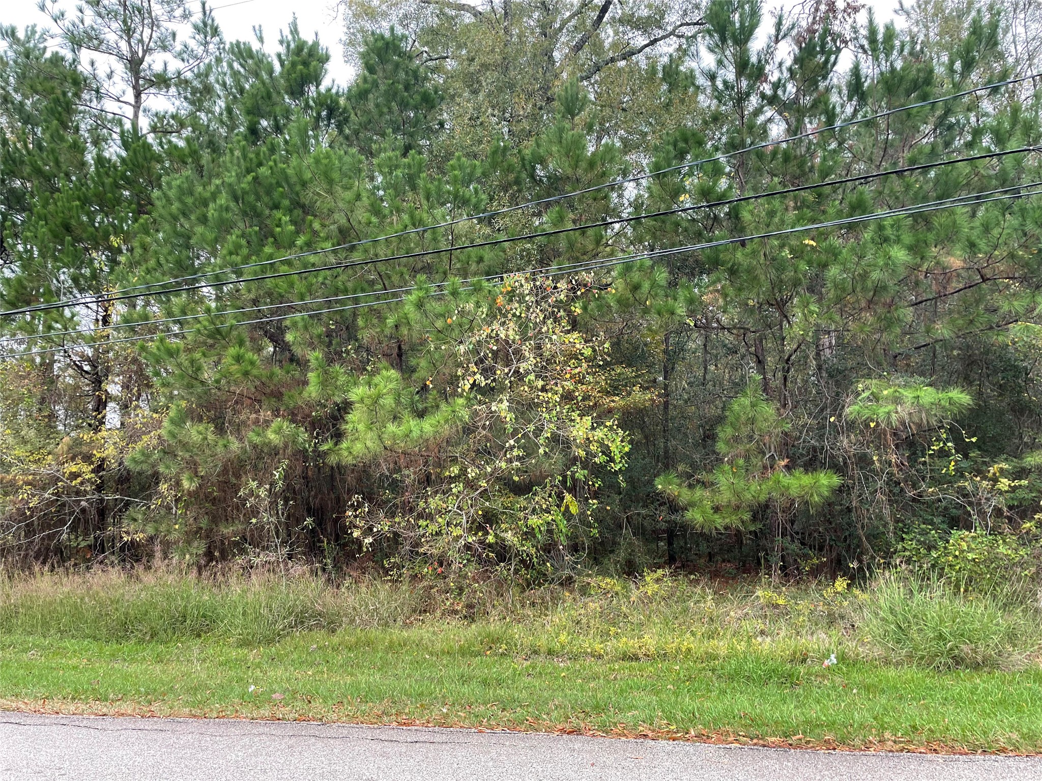 000 Big Deer Drive Property Photo 1