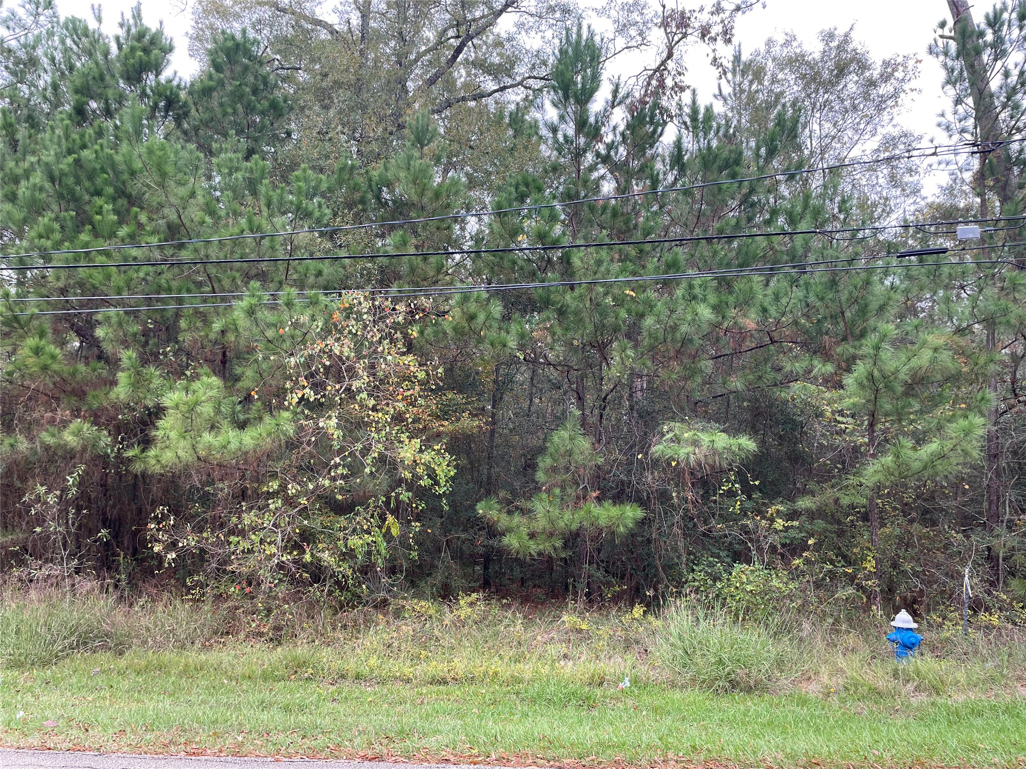 000 Big Deer Drive Property Photo 3
