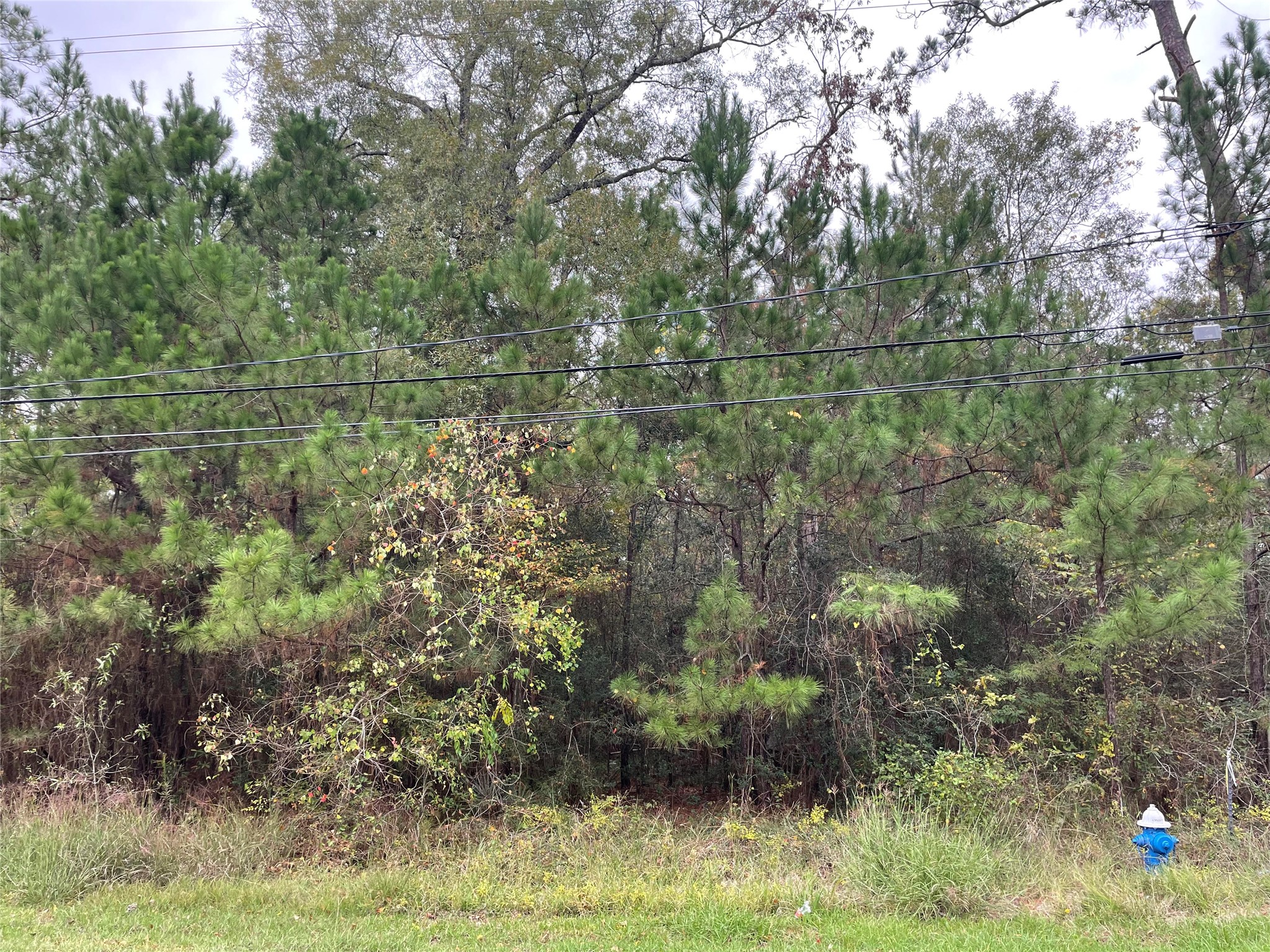000 Big Deer Drive Property Photo 4