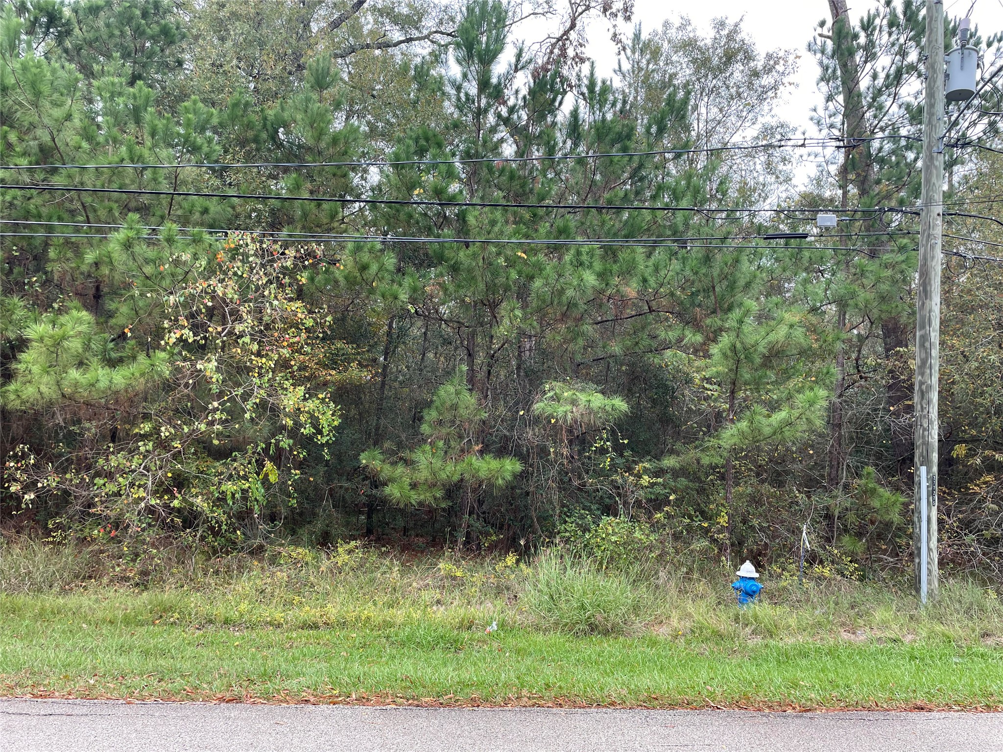 000 Big Deer Drive Property Photo 7