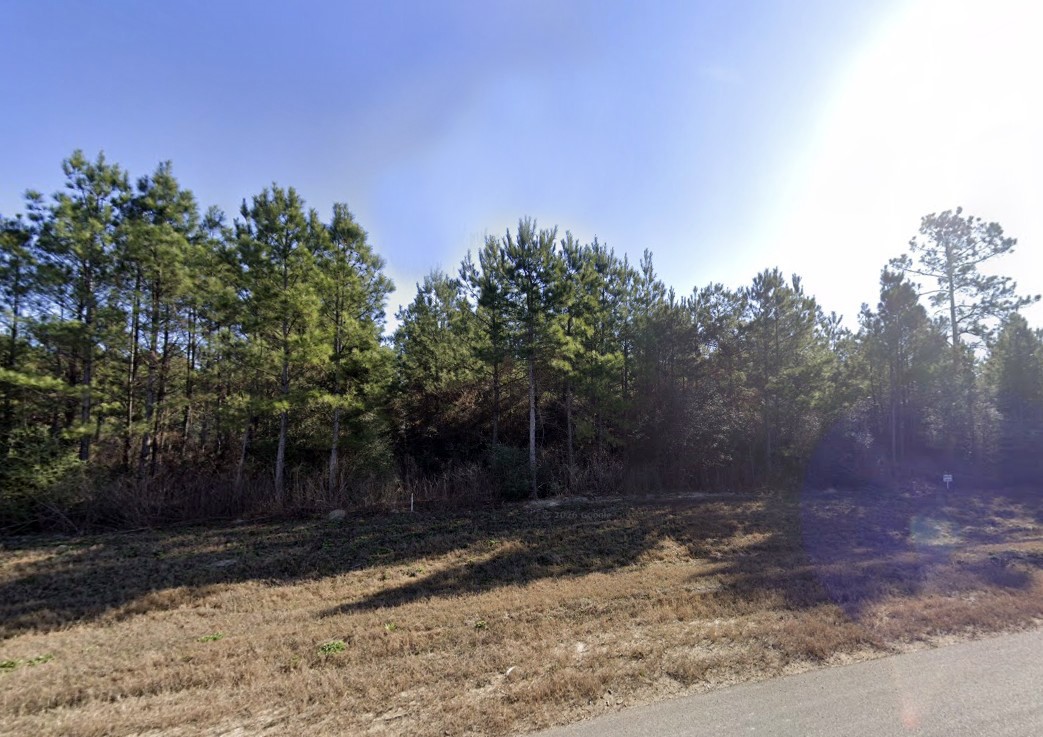 11855 Moss Grove Court Property Photo 5