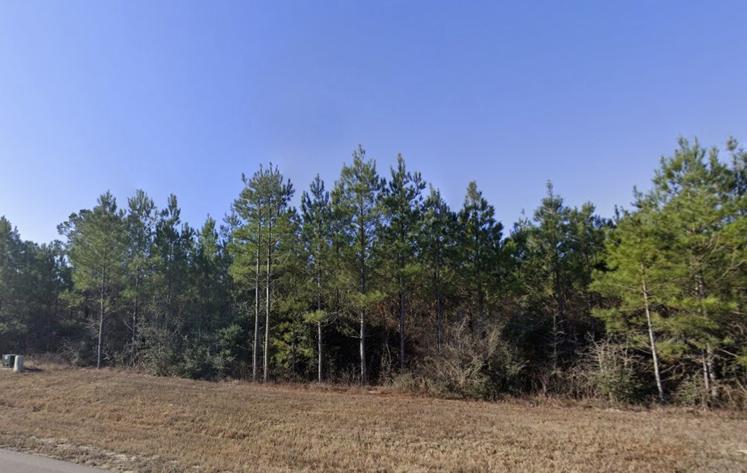 11855 Moss Grove Court Property Photo 6