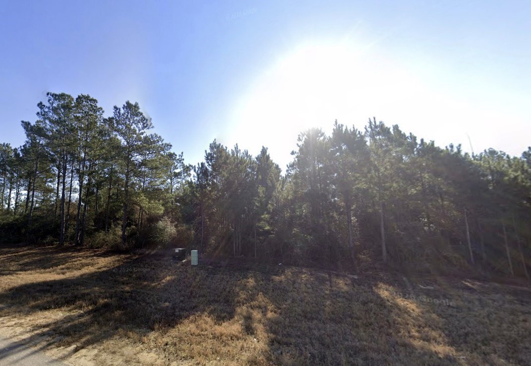 11855 Moss Grove Court Property Photo 7