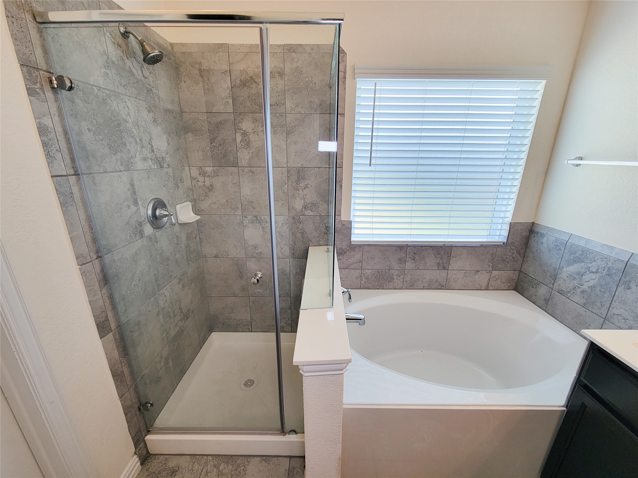 10037 Swift Fox Court Property Photo 18