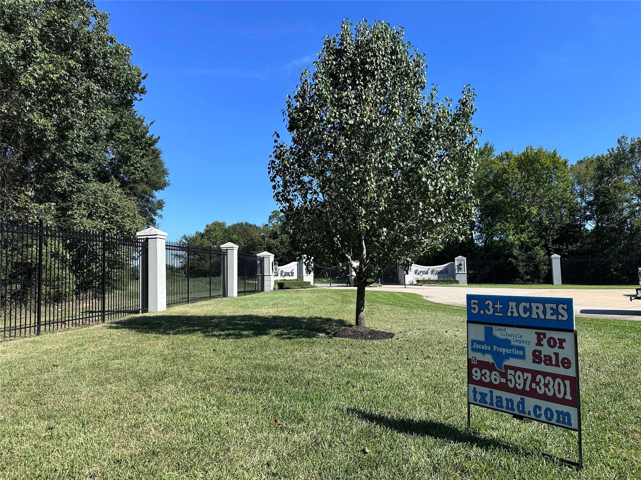 5.3 Ac Tbd Spring Branch Rd Property Photo 2