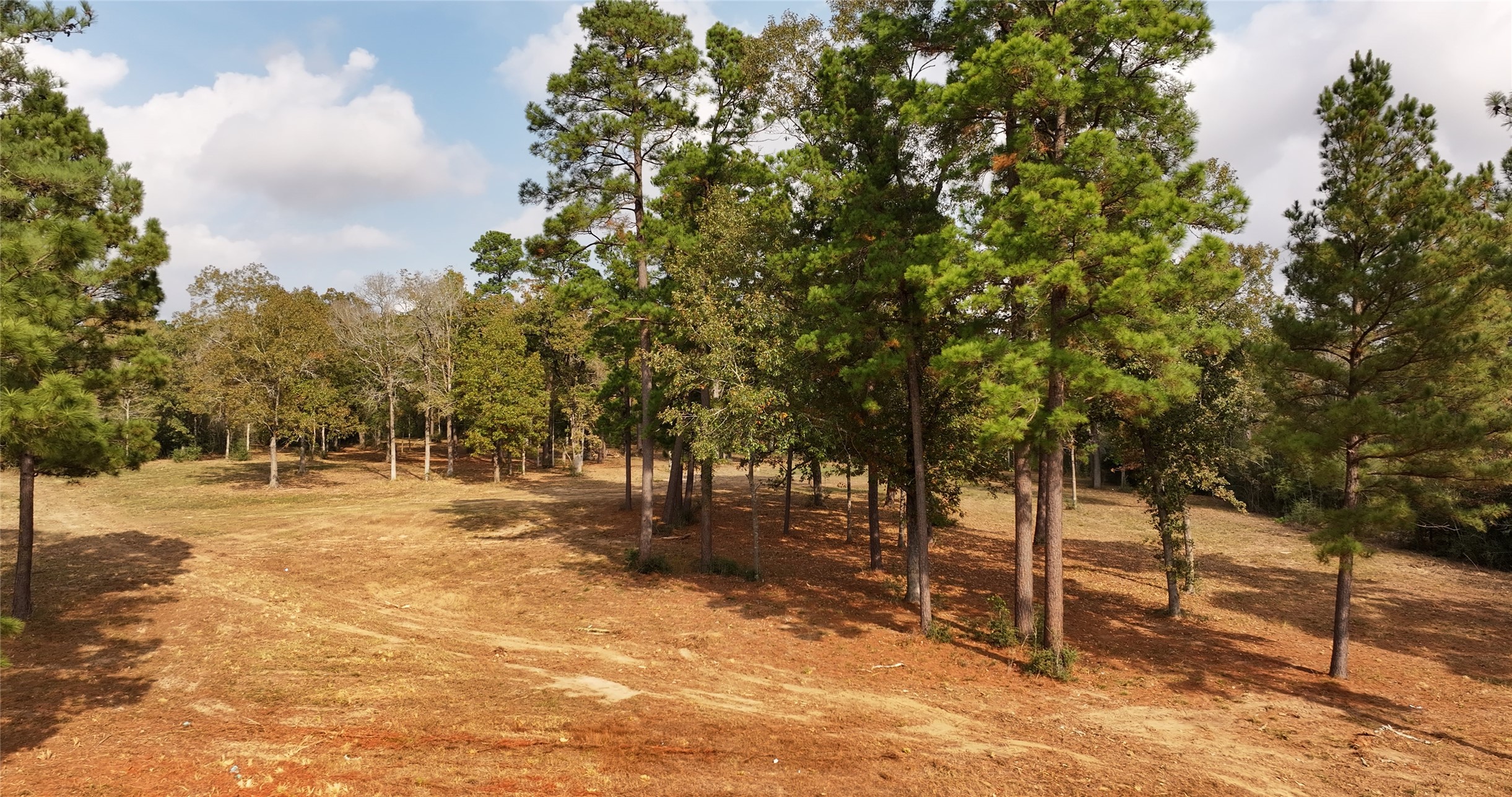 5.3 Ac Tbd Spring Branch Rd Property Photo 8