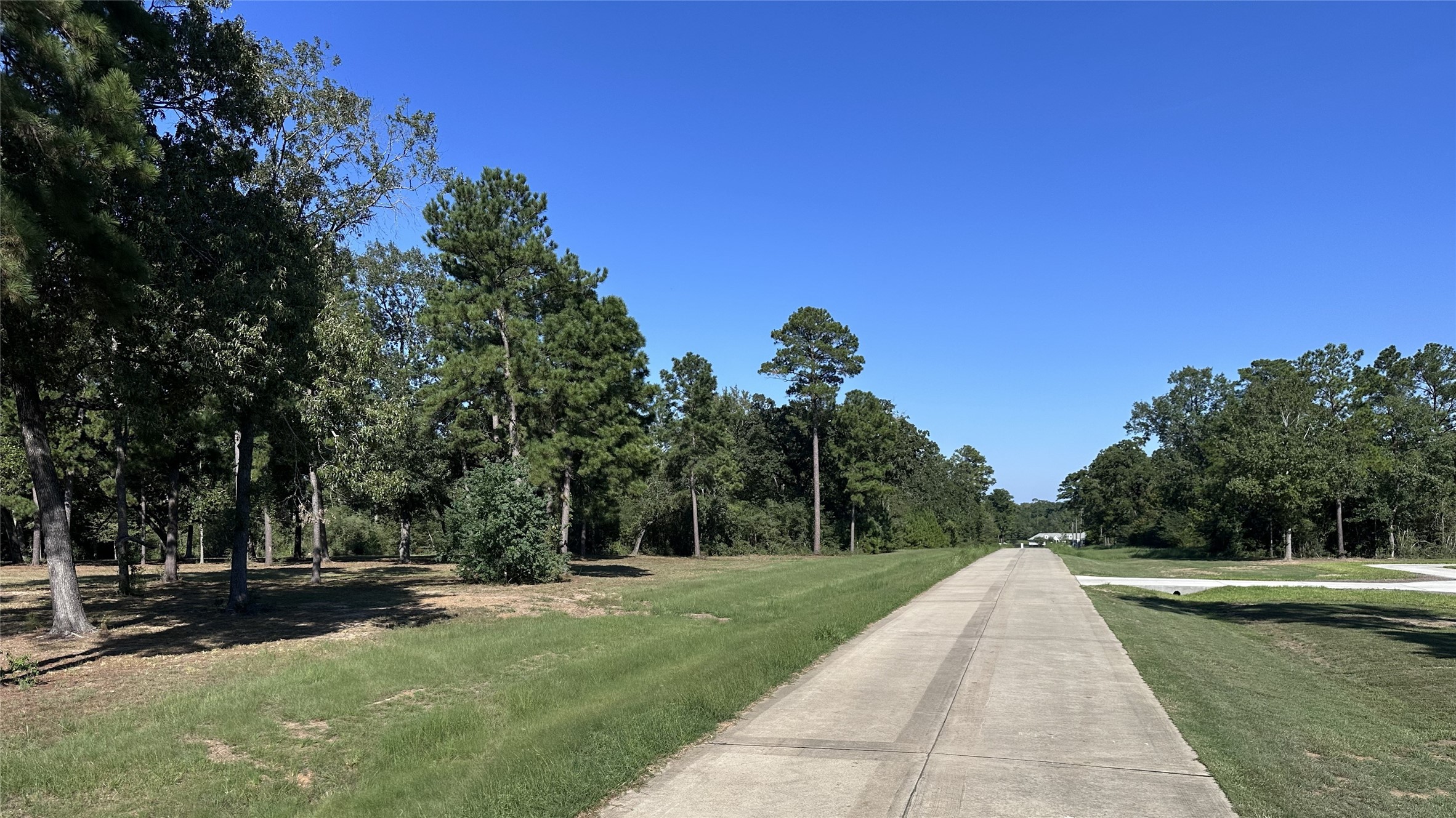5.3 Ac Tbd Spring Branch Rd Property Photo 8