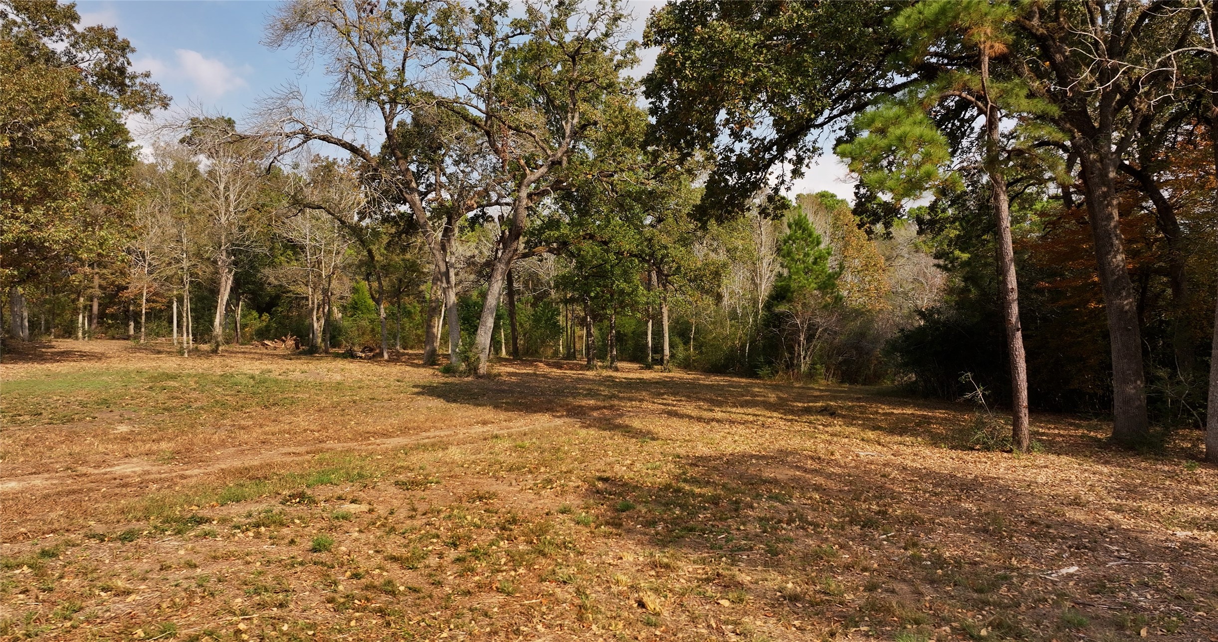 5.3 Ac Tbd Spring Branch Rd Property Photo 9