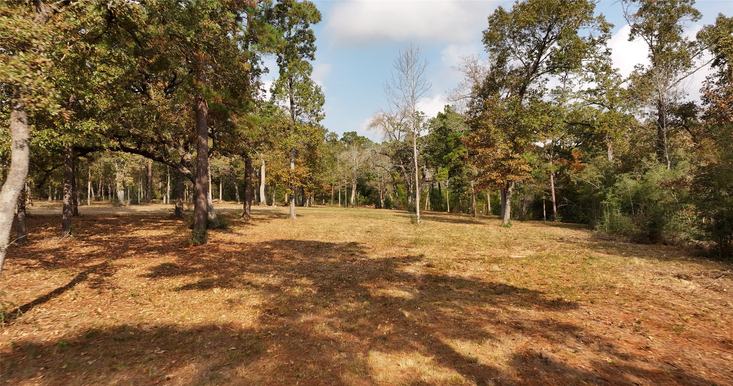 5.3 Ac Tbd Spring Branch Rd Property Photo 10