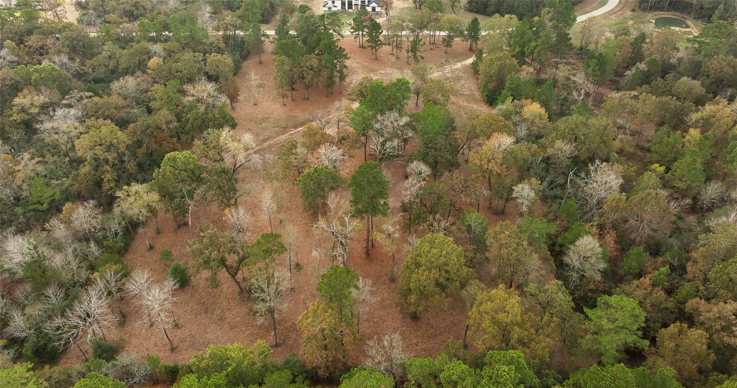 5.3 Ac Tbd Spring Branch Rd Property Photo 11