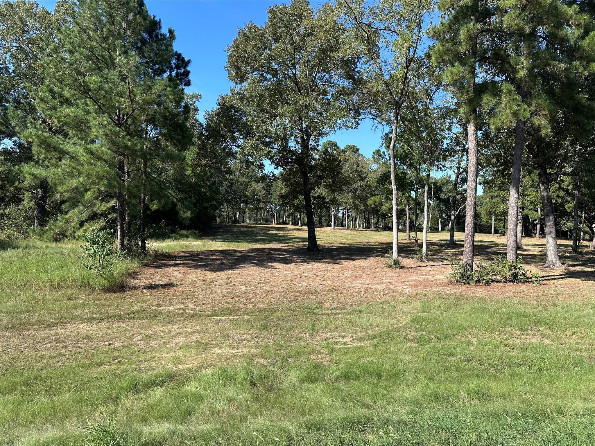 5.3 Ac Tbd Spring Branch Rd Property Photo 11