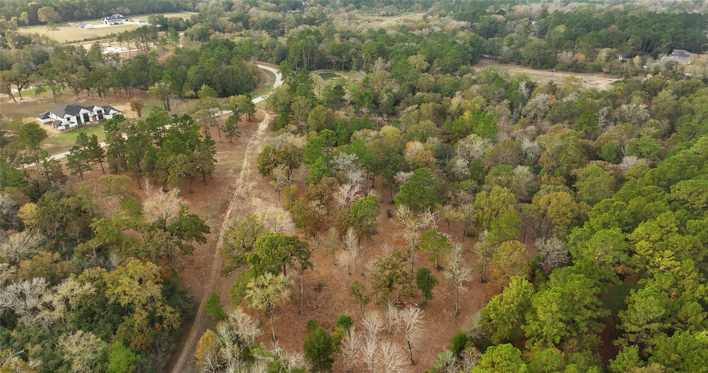 5.3 Ac Tbd Spring Branch Rd Property Photo 13