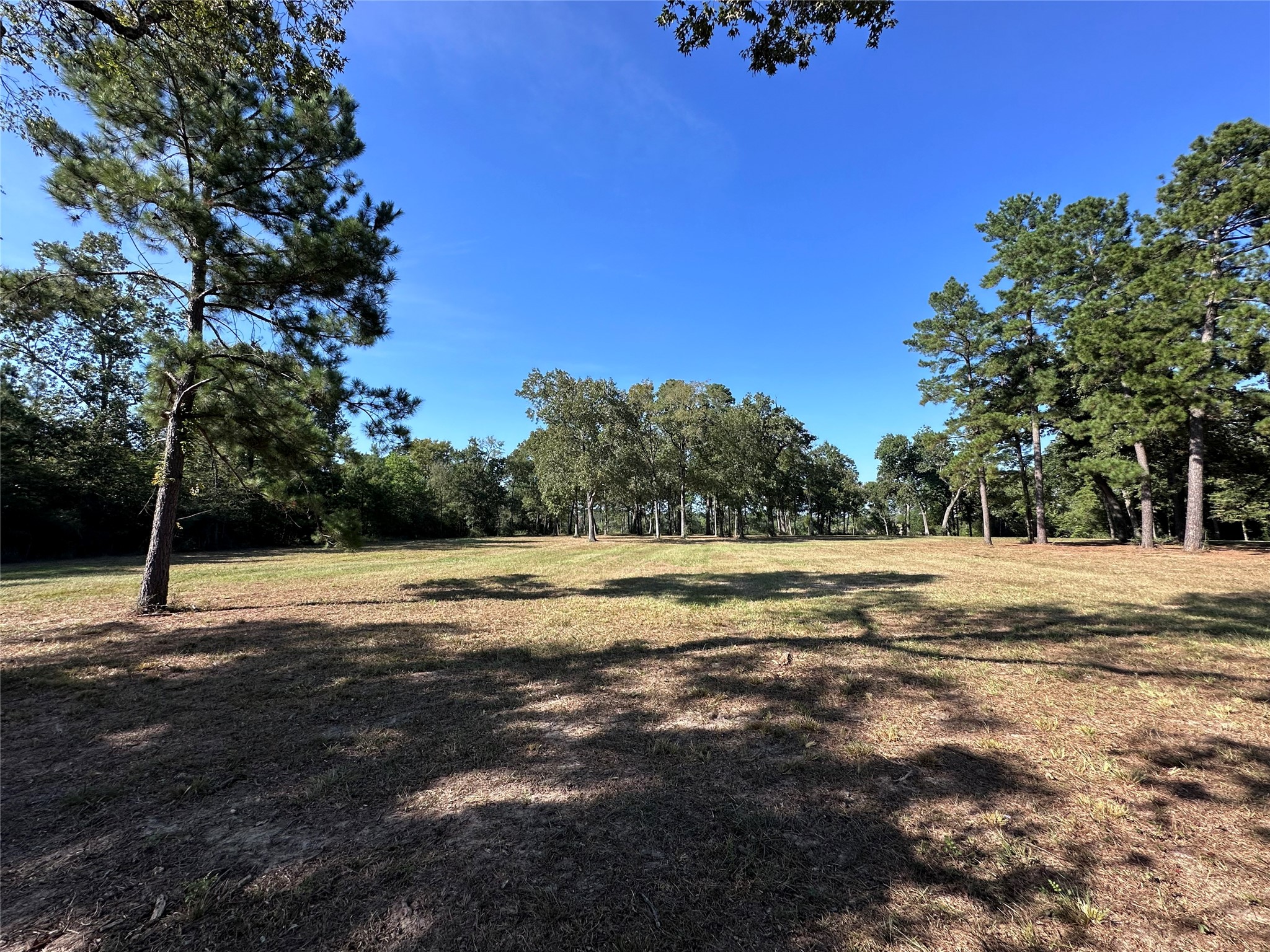 5.3 Ac Tbd Spring Branch Rd Property Photo 17