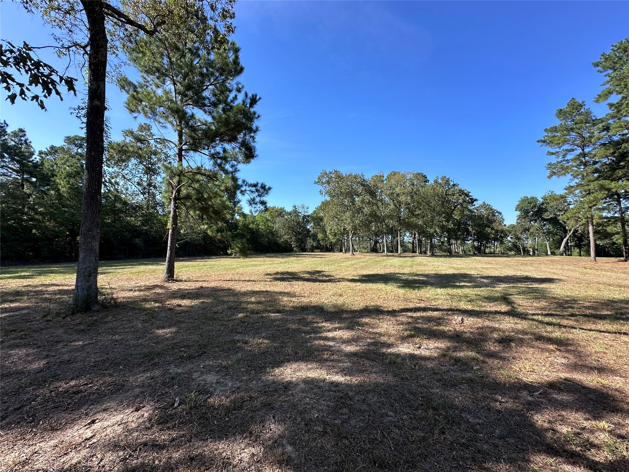 5.3 Ac Tbd Spring Branch Rd Property Photo 18