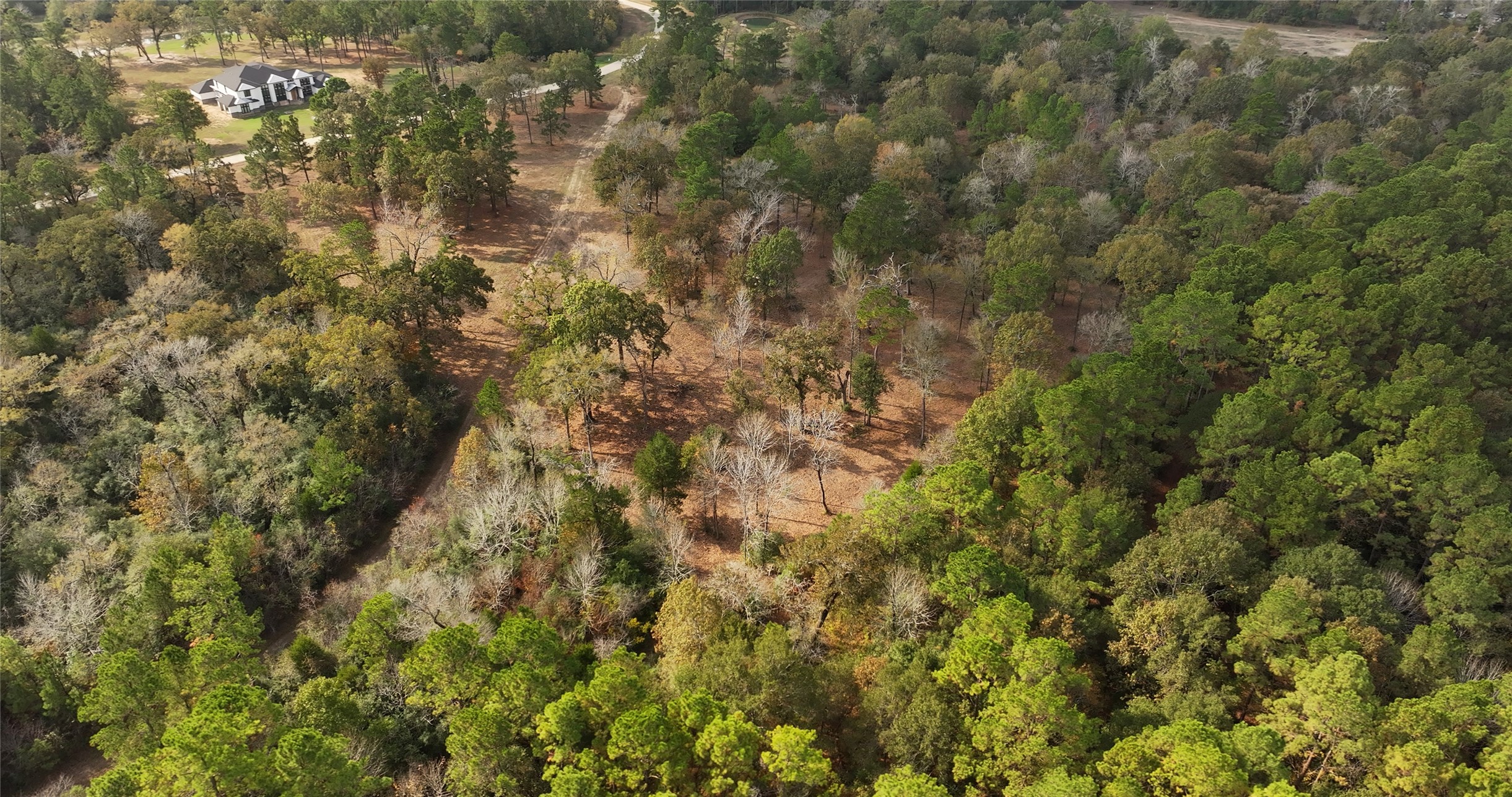 5.3 Ac Tbd Spring Branch Rd Property Photo 20