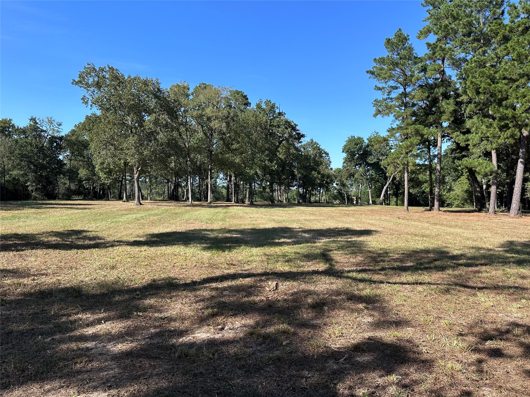 5.3 Ac Tbd Spring Branch Rd Property Photo 20