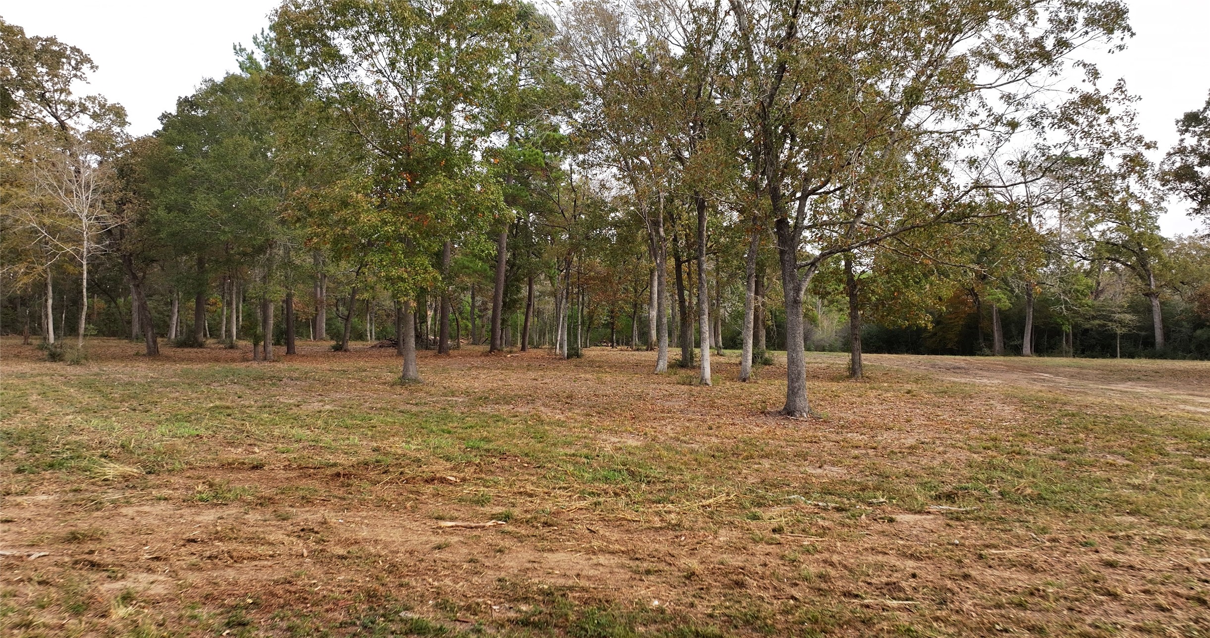 5.3 Ac Tbd Spring Branch Rd Property Photo 21