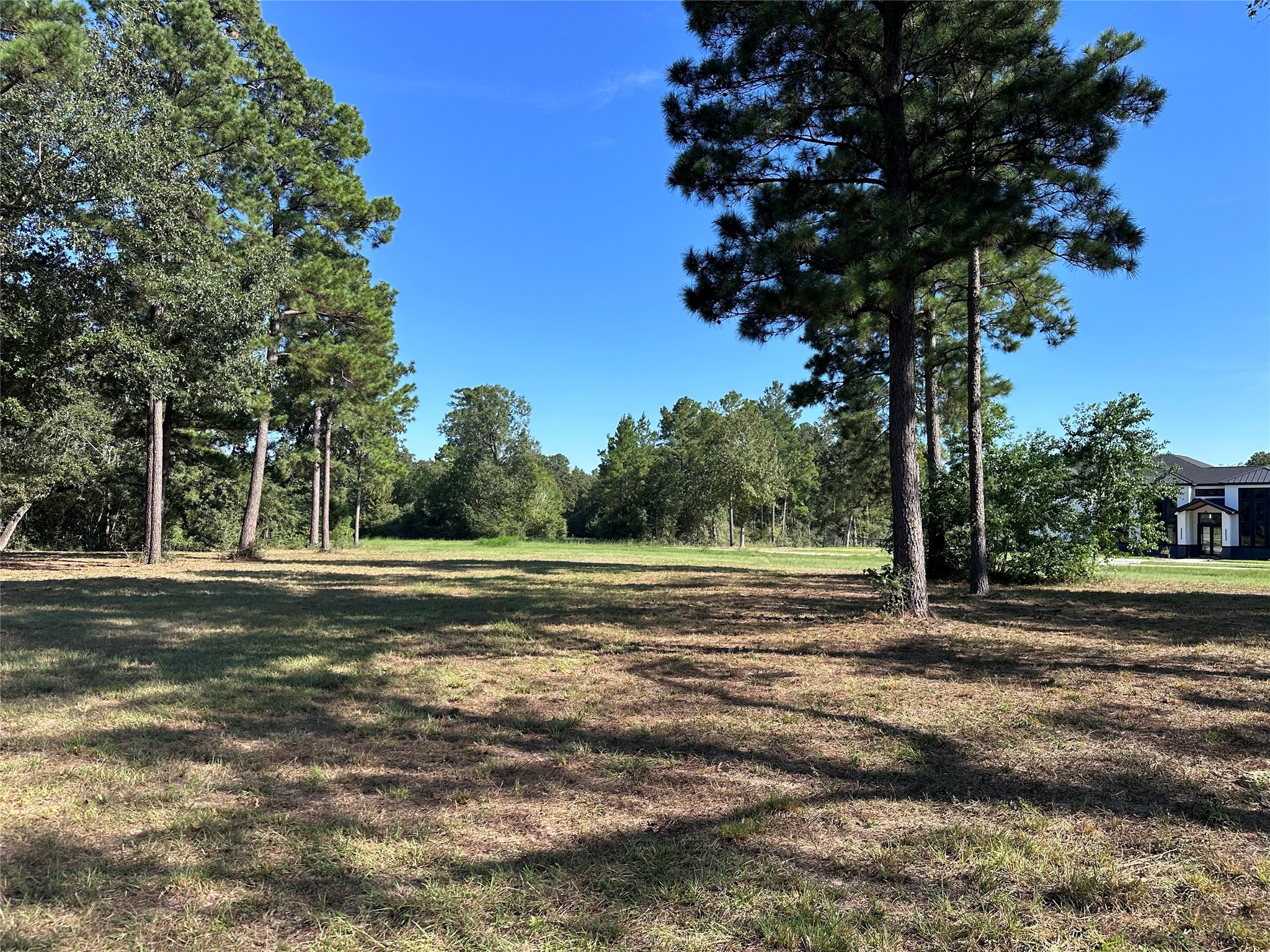 5.3 Ac Tbd Spring Branch Rd Property Photo 21