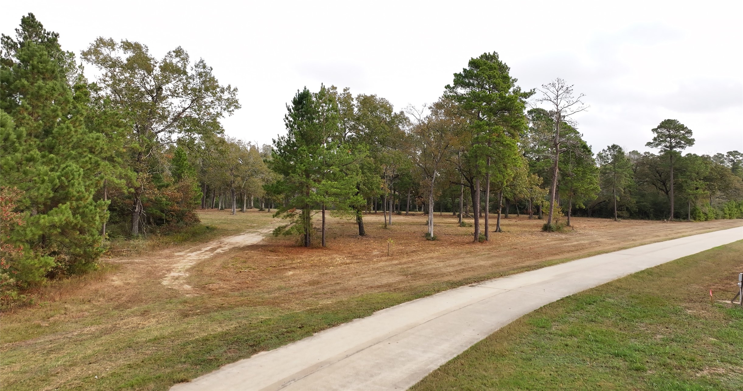5.3 Ac Tbd Spring Branch Rd Property Photo 22