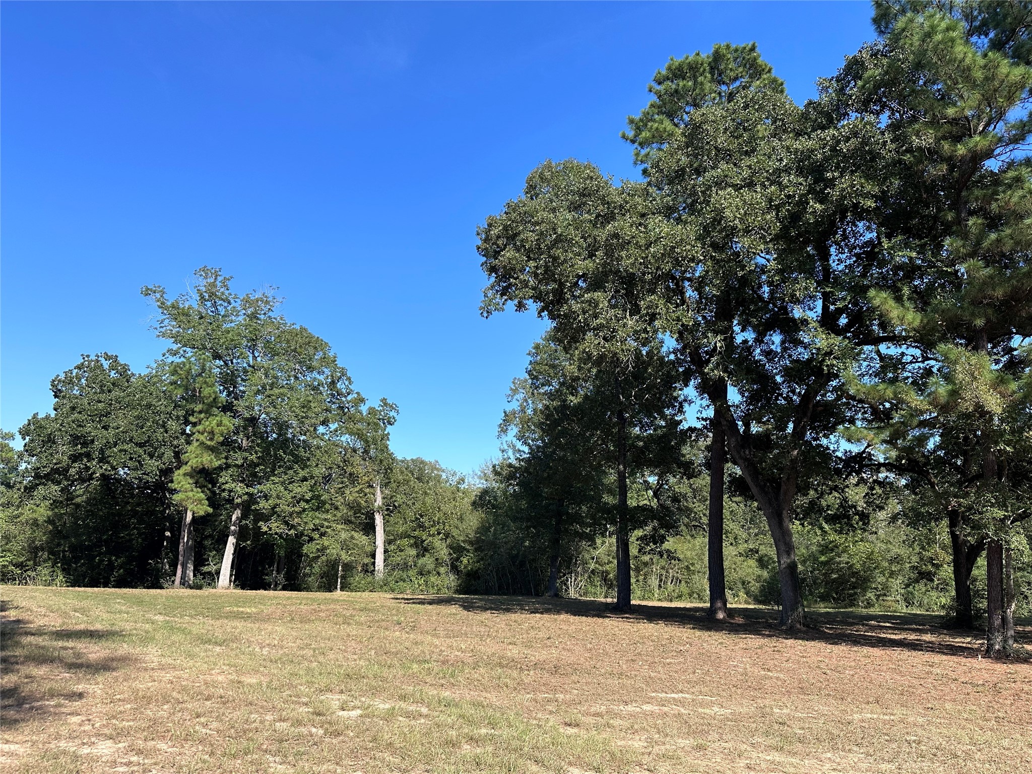 5.3 Ac Tbd Spring Branch Rd Property Photo 22