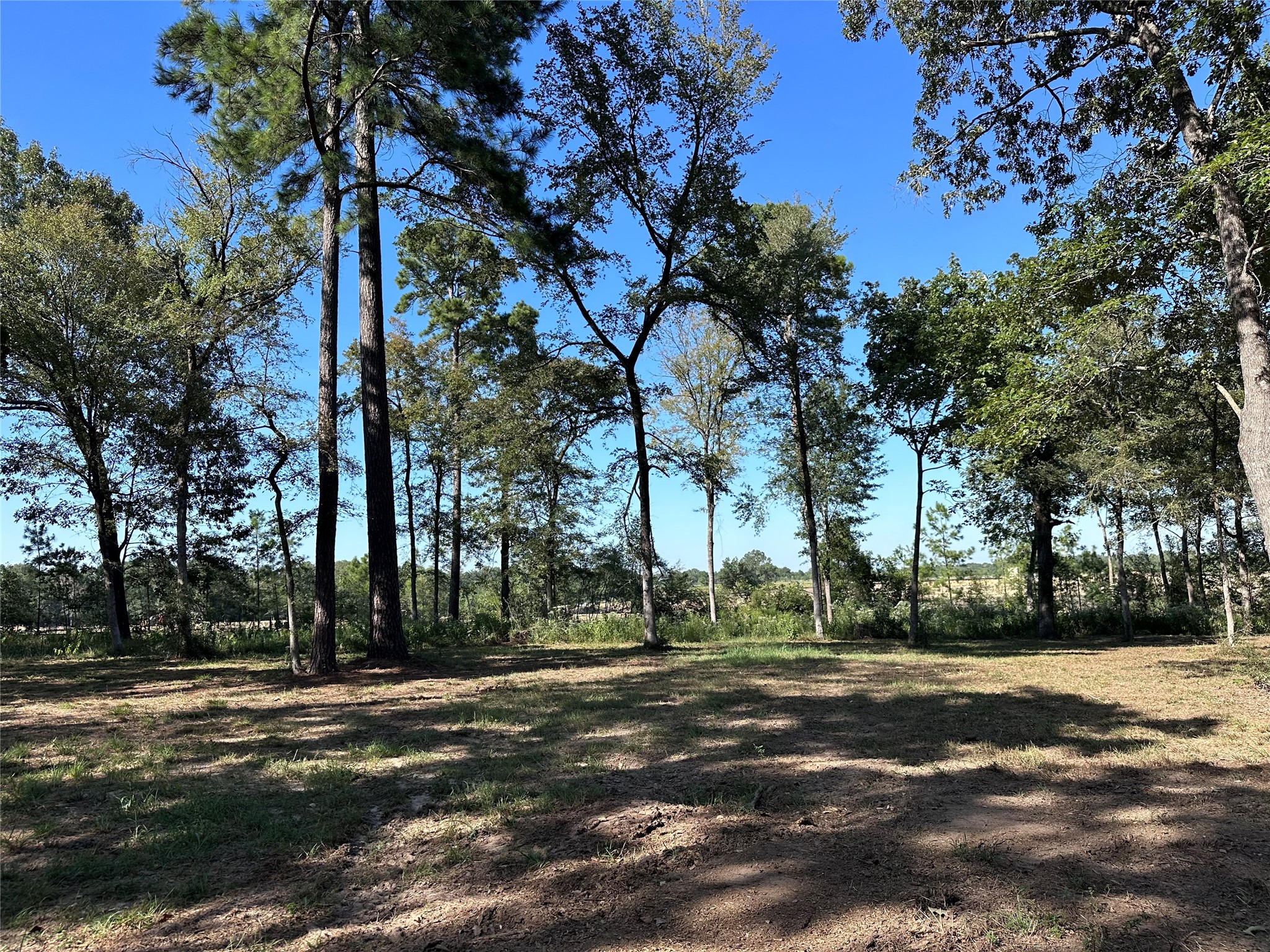 5.3 Ac Tbd Spring Branch Rd Property Photo 26