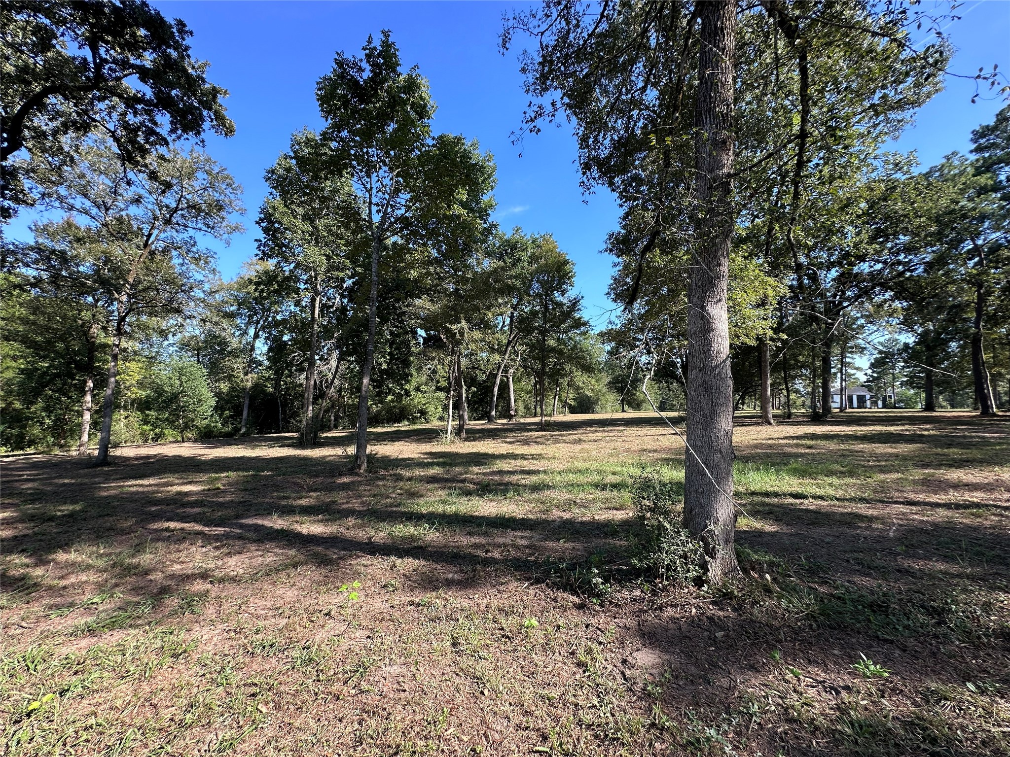 5.3 Ac Tbd Spring Branch Rd Property Photo 31