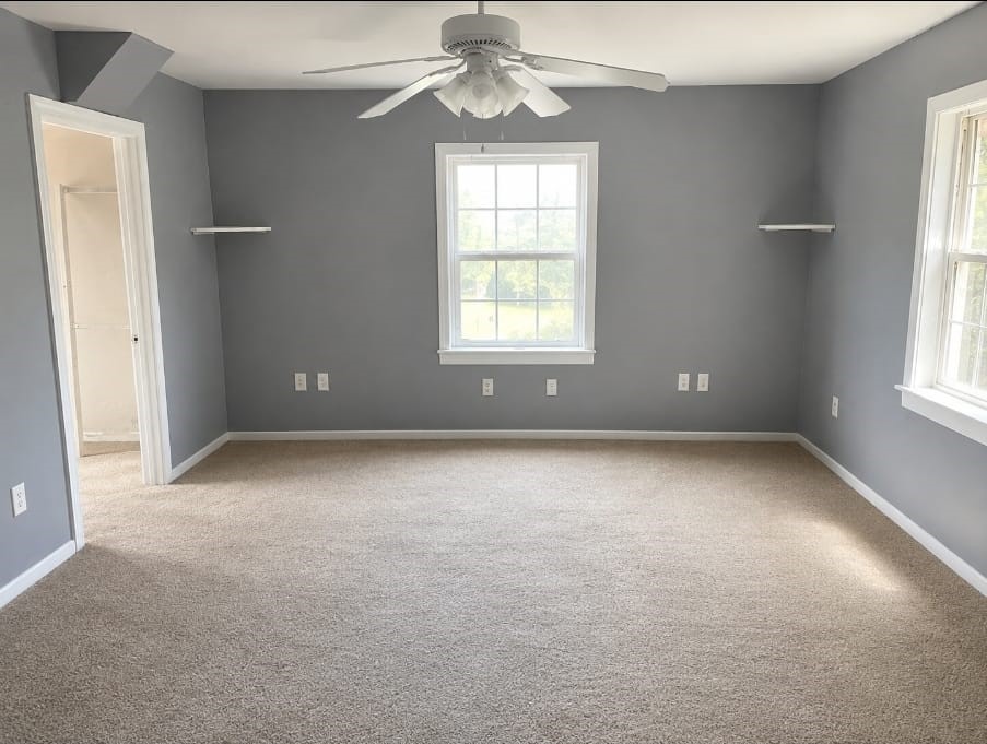 11424 Spence Lane Property Photo 3