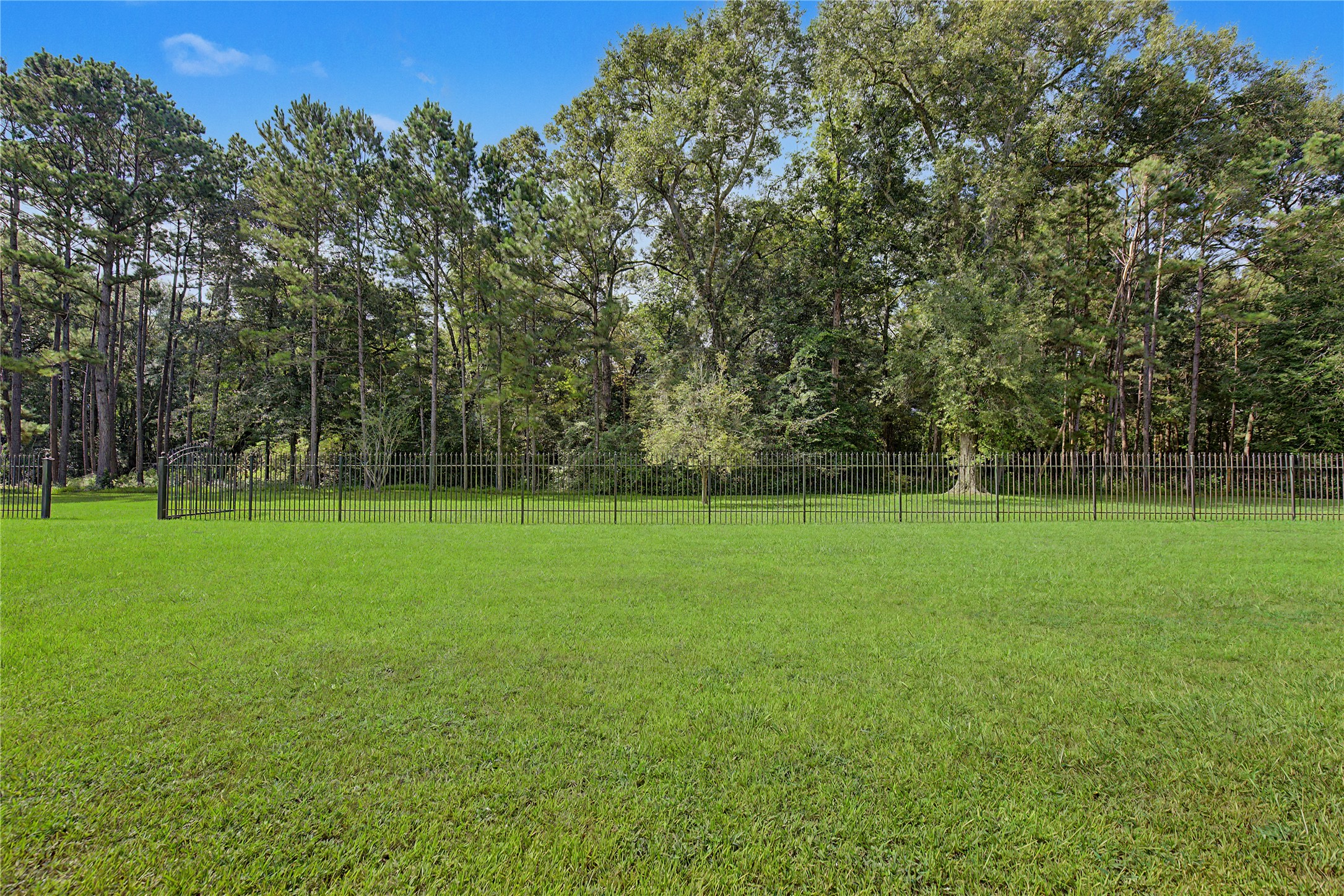 26190 Walnut Burl Property Photo 42