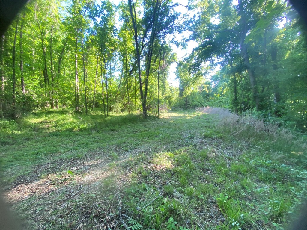 0 Danburg Road Property Photo 1