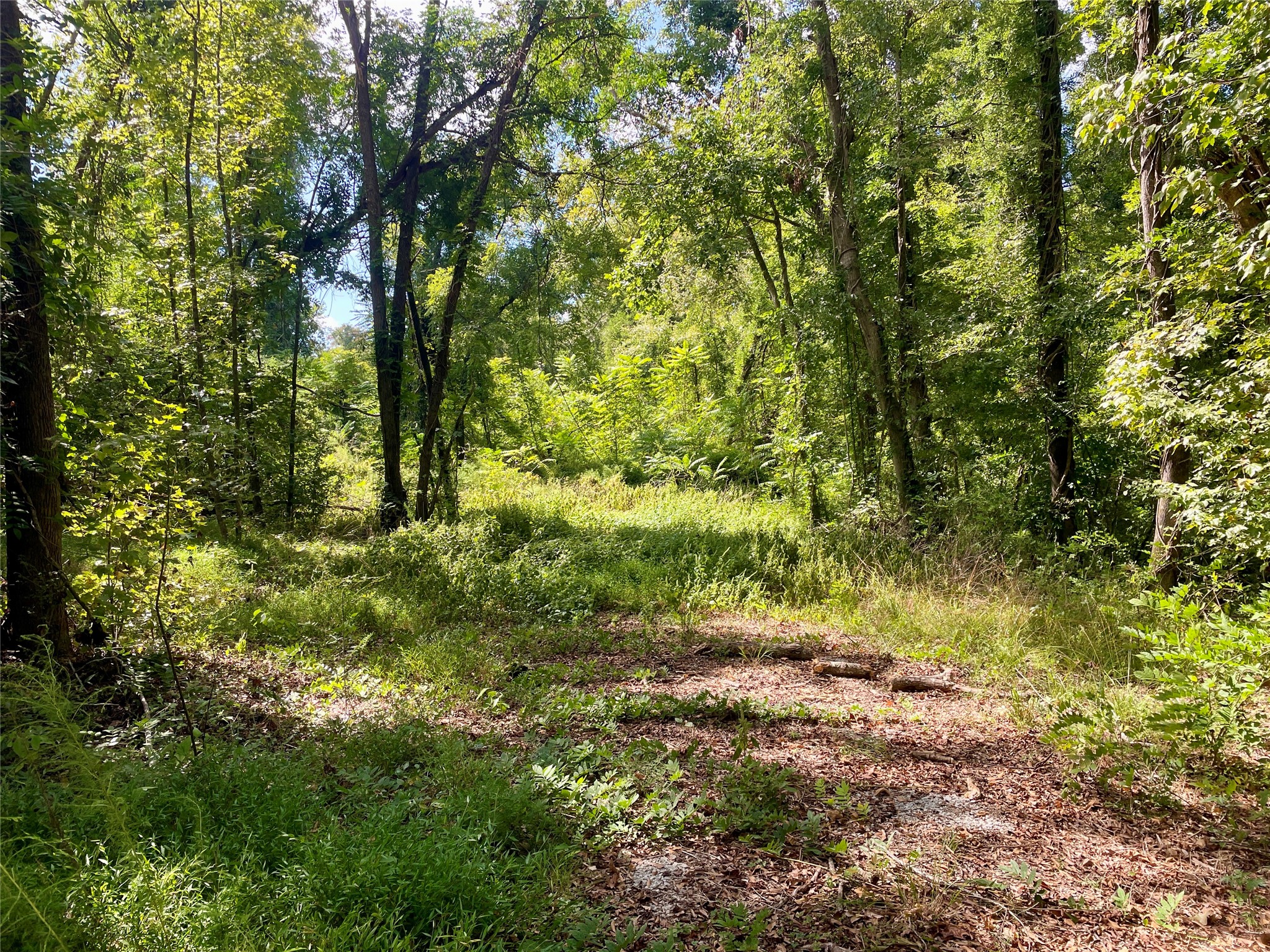 0 Danburg Road Property Photo 1