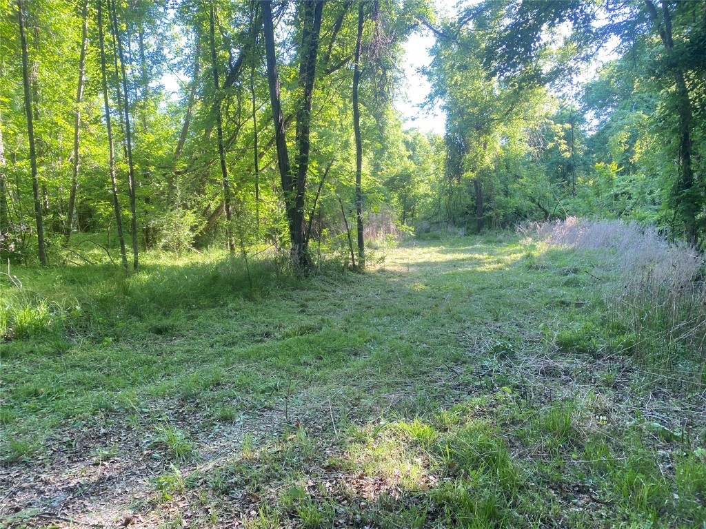 0 Danburg Road Property Photo 3