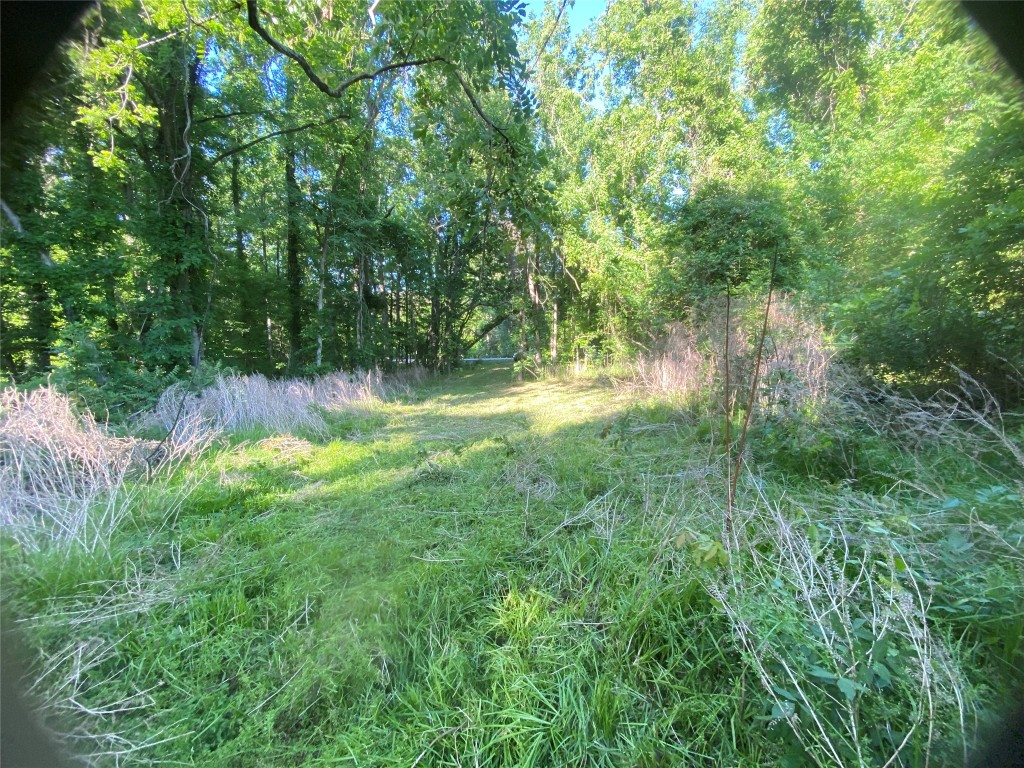 0 Danburg Road Property Photo 4