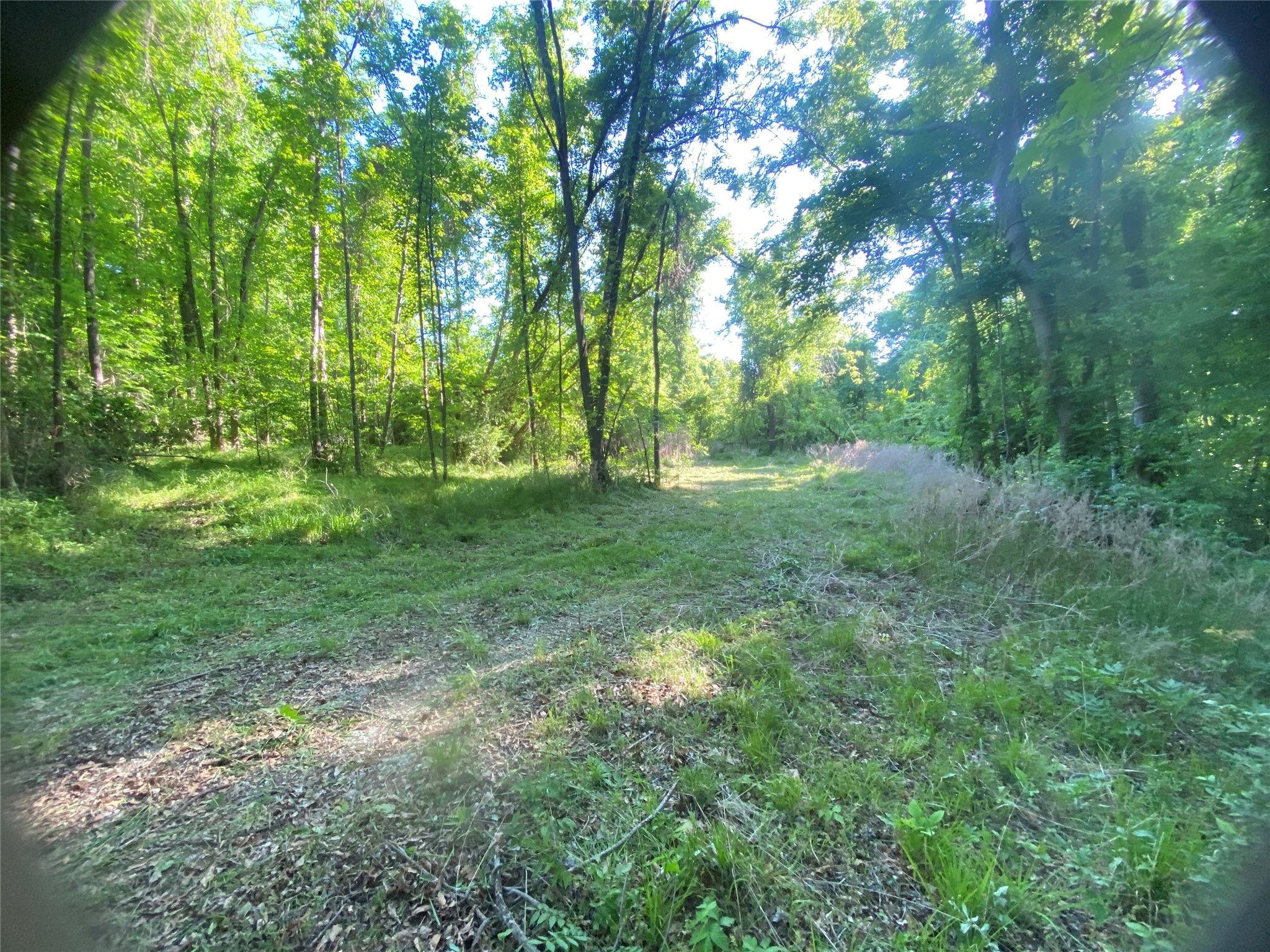 0 Danburg Road Property Photo 4