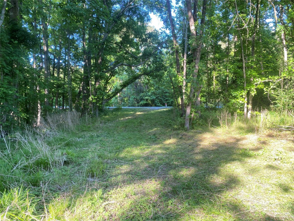 0 Danburg Road Property Photo 5
