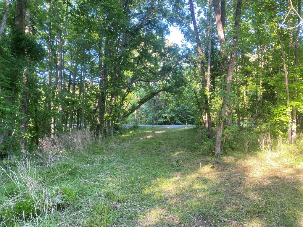 0 Danburg Road Property Photo 6