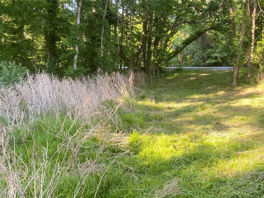 0 Danburg Road Property Photo 7