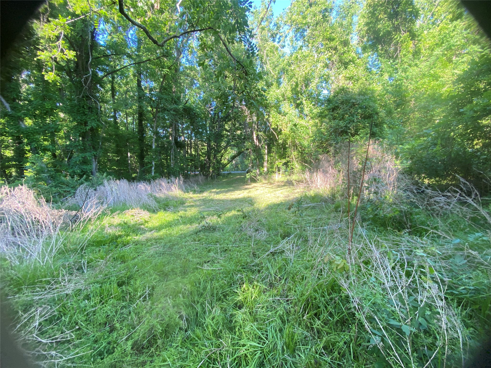 0 Danburg Road Property Photo 7