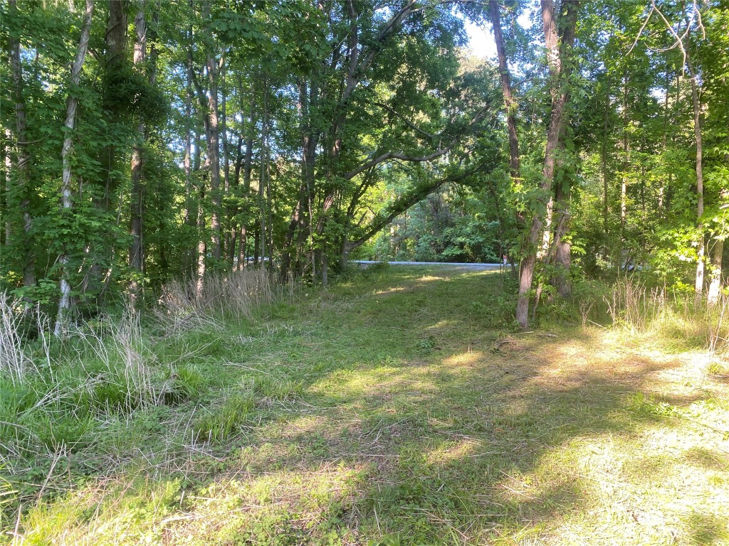 0 Danburg Road Property Photo 8