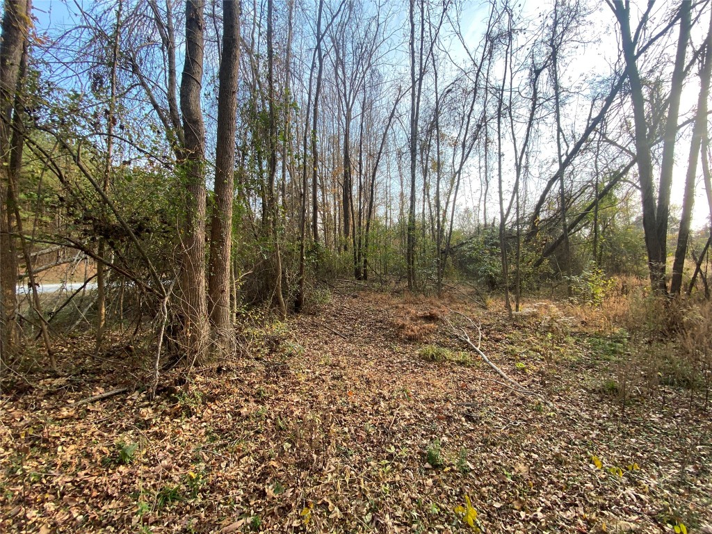 0 Danburg Road Property Photo 10