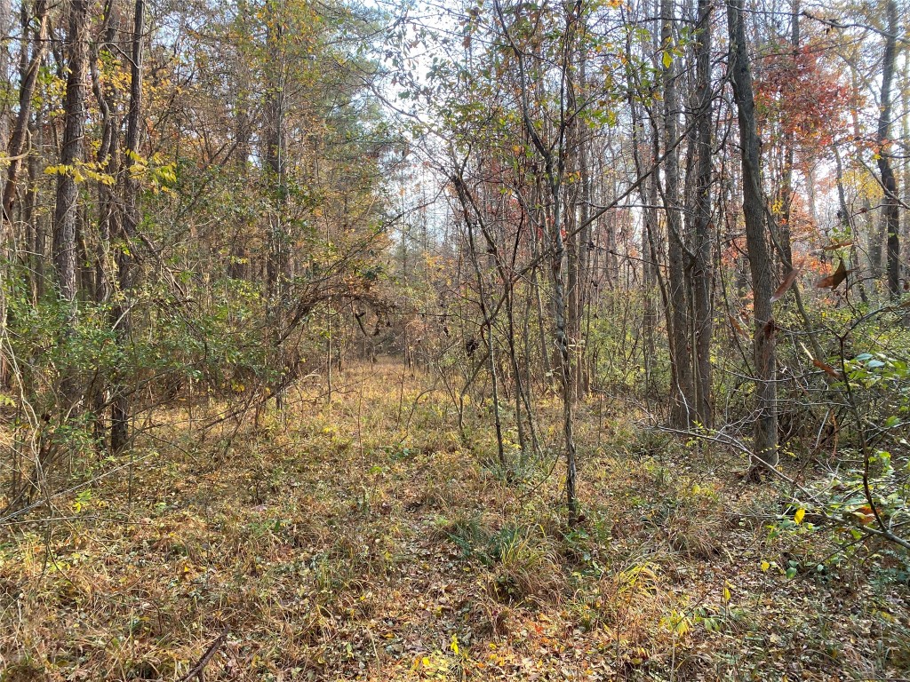 0 Danburg Road Property Photo 15