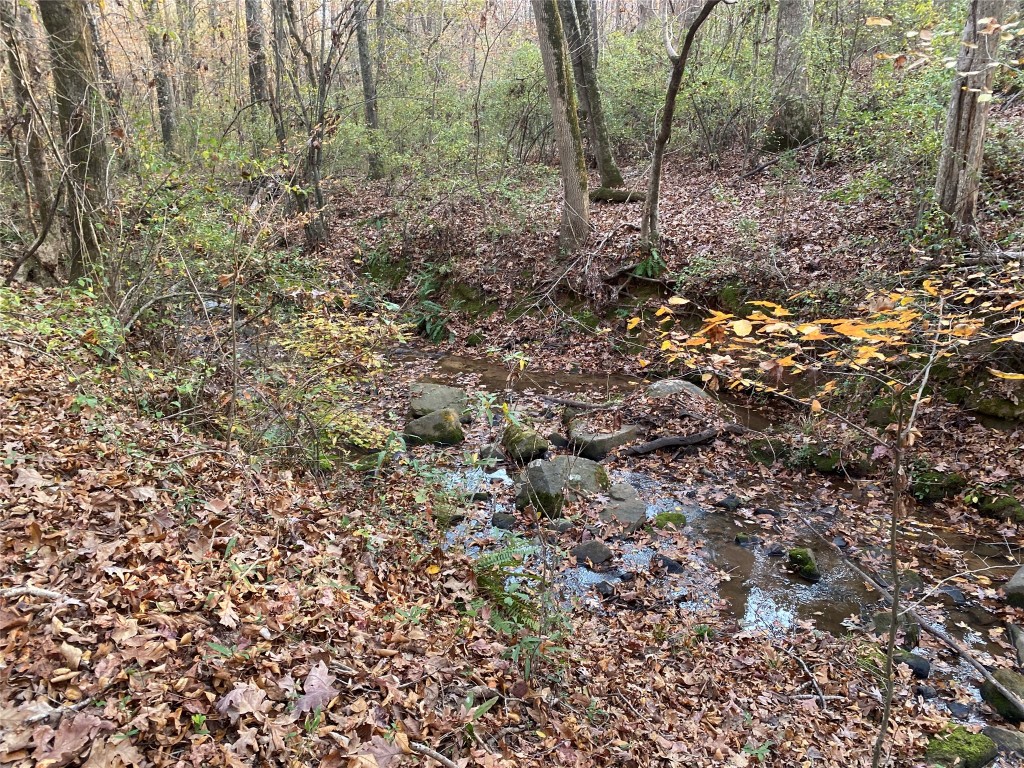 0 Danburg Road Property Photo 16