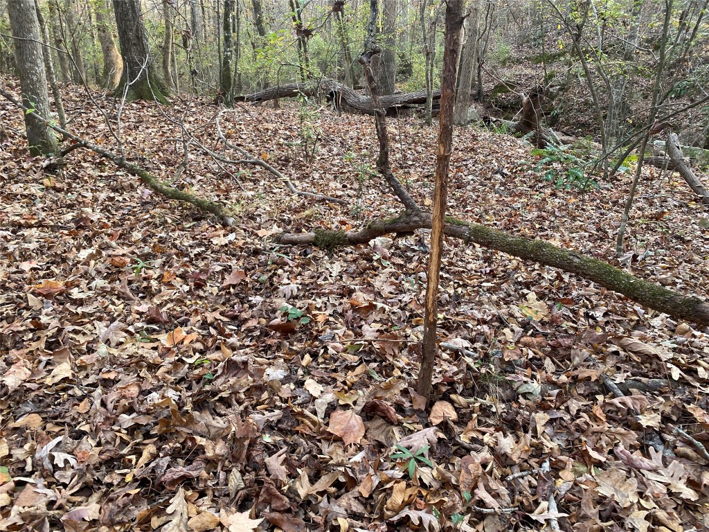0 Danburg Road Property Photo 17